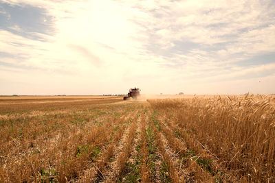 Scenic view of agricultural field against sky during sunset