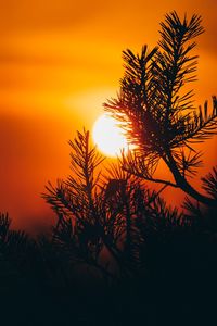 Silhouette palm tree against romantic sky at sunset