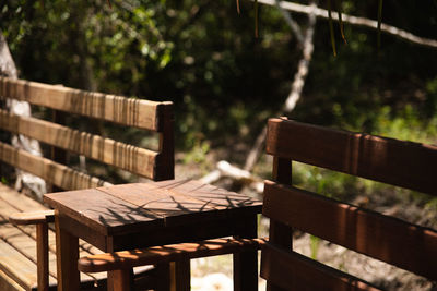 Empty chairs and table against trees in forest