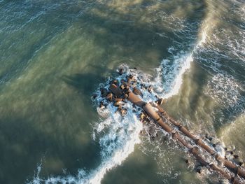 High angle view of man swimming in sea