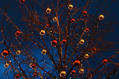 Low angle view of tree