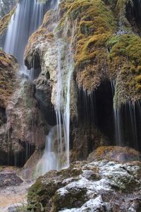 View of waterfall in forest