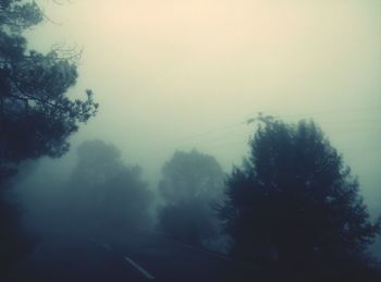 Road in foggy weather