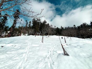 Snow covered field against sky