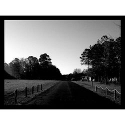 Road passing through forest