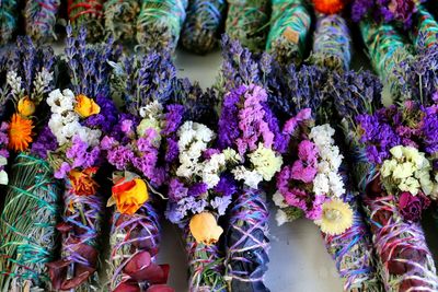 Full frame shot of multi colored flowering plants in market