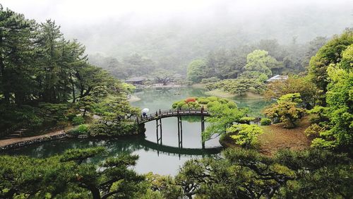 Arch bridge over river amidst trees