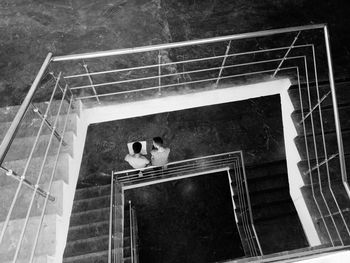 High angle view of bird on staircase