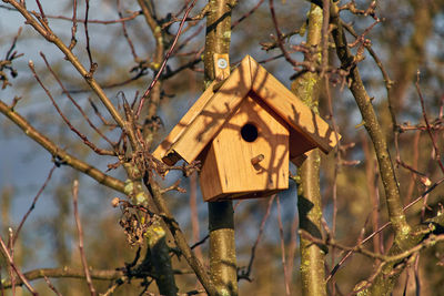 An empty nest box at an apple tree in the sunlight. the branches cast shadows on the bird house