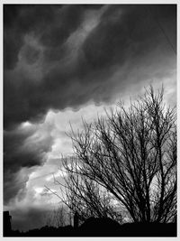 Low angle view of silhouette bare tree against sky