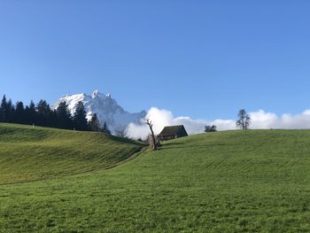 Scenic view of field against sky