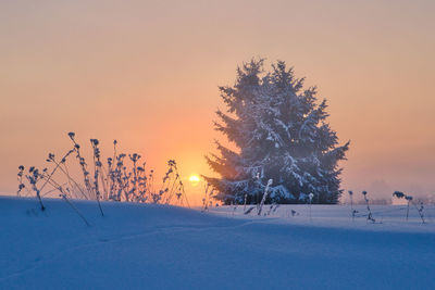 Trees on snow covered field against sky during sunset