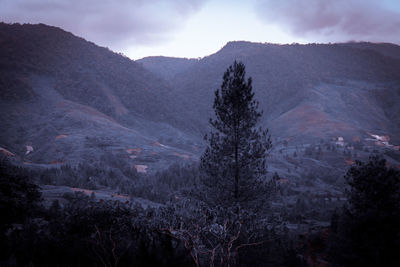 High angle view of trees and mountains against sky