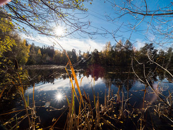 Reflection of trees in lake against sky