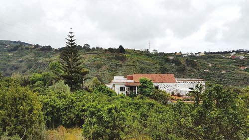 Plants and buildings against sky