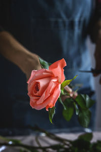 Close-up of red rose against blurred background