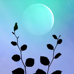 sky