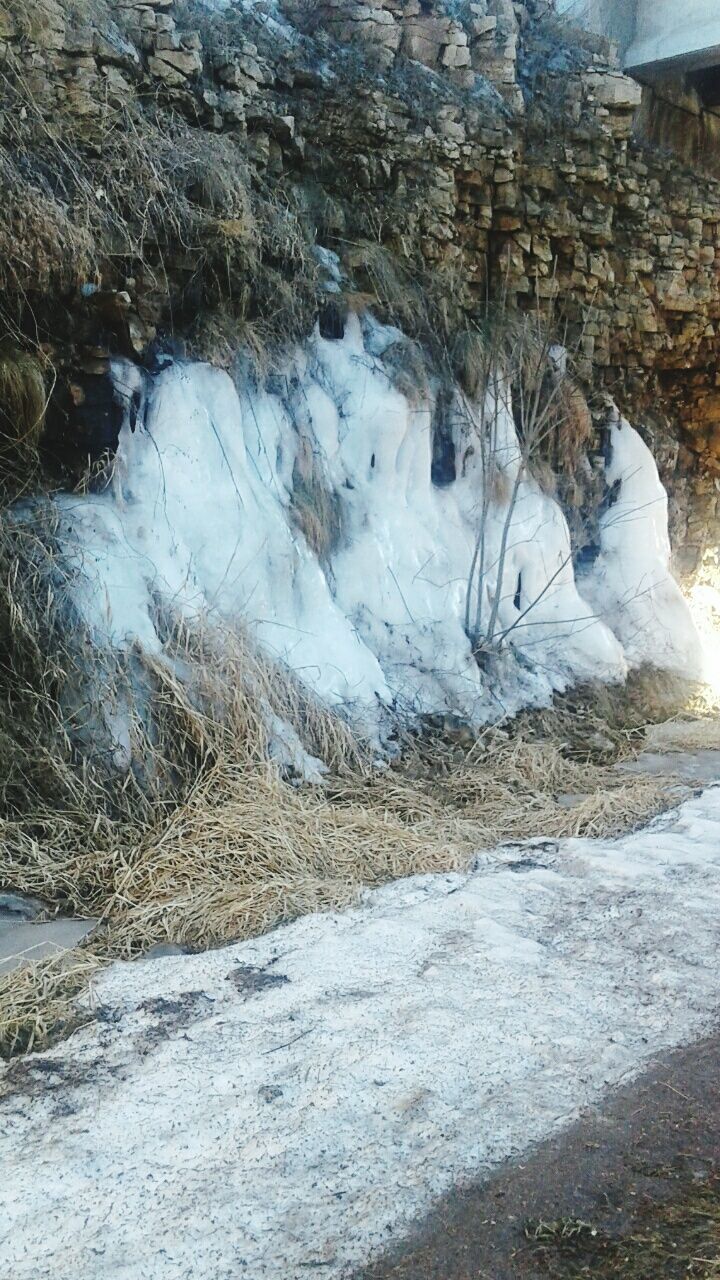 CLOSE-UP OF FROZEN TREE