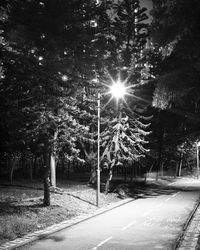 Street amidst trees in city during winter