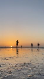 Arambol beach goa 