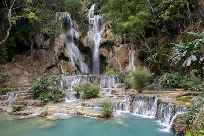 Scenic view of waterfall in forest