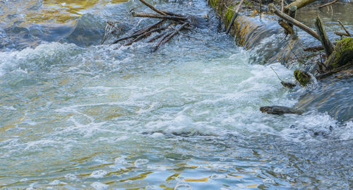 High angle view of water flowing through rocks