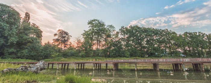 Scenic view of lake by trees against sky