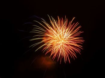 Low angle view of firework display at night