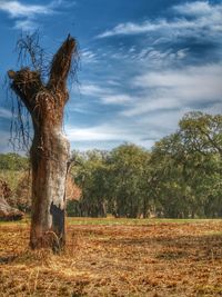 Scenic view of field against cloudy sky