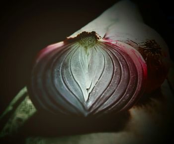 Close-up of red chili peppers in container