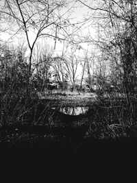 Scenic view of lake in forest