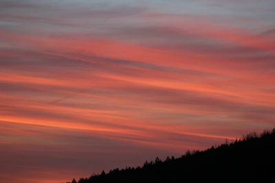 Silhouette trees against orange sky