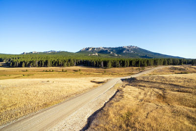 Dirt road in bighorn national forest against clear blue sky on sunny day