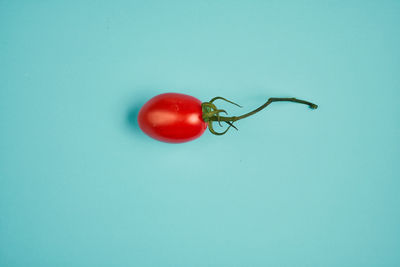 Close-up of cherry tomatoes against blue background