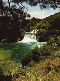 Scenic view of waterfall in forest