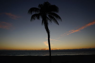 Silhouette palm tree by sea against sky during sunset