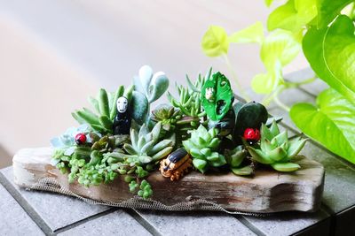 Close-up of fruits on table