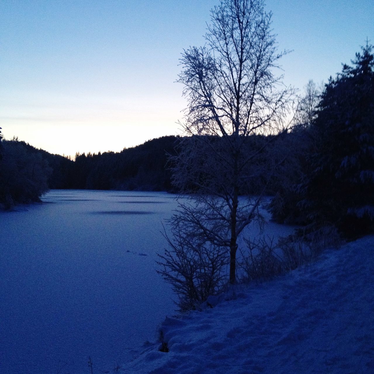 snow, winter, cold temperature, tranquil scene, bare tree, tranquility, tree, scenics, beauty in nature, landscape, clear sky, nature, season, blue, mountain, non-urban scene, sky, field, frozen, idyllic