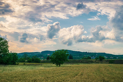 Scenic view of field against sky