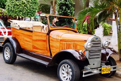 Vintage car on palm tree