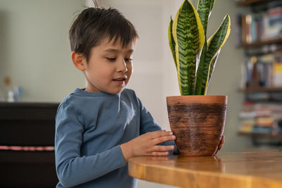 Close-up of boy looking through window