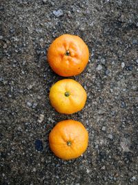 High angle view of orange fruits