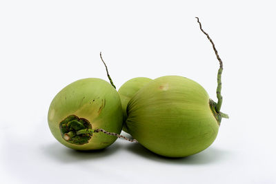 Close-up of green fruit against white background