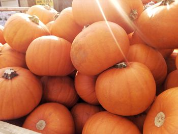 Full frame shot of pumpkins in market