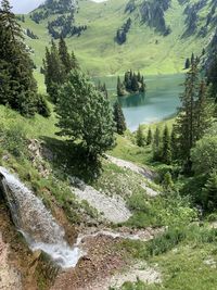 High angle view of lake amidst trees