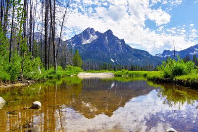 Scenic view of lake in forest against sky