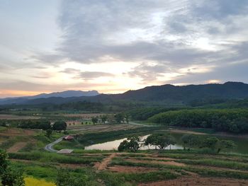 Scenic view of agricultural field against sky during sunset