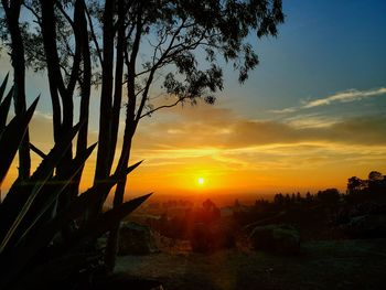 Silhouette trees against sky during sunset