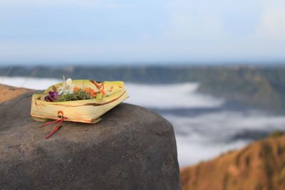 Close-up of food in box on rock at beach against sky