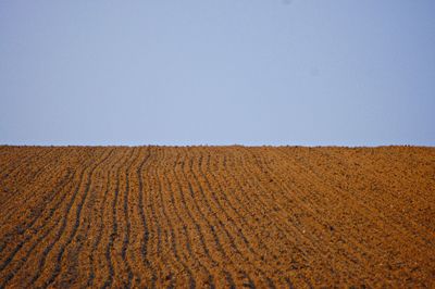 Scenic view of plowed field against blue sky